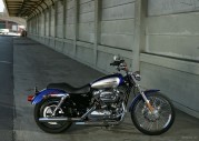 Harley-Davidson XL1200 C Sportster